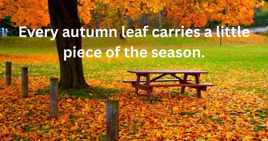 Autumn Leaves Quotes
