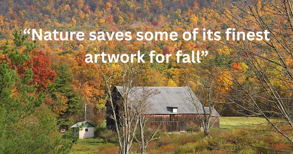 Autumn Quotes for Nature Lovers