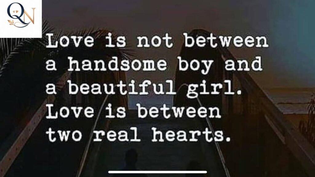 The Little Prince Quote About Love