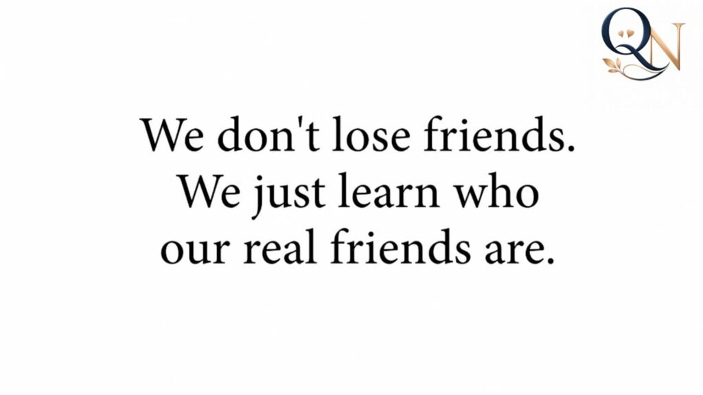 The Little Prince Quotes About Friendship