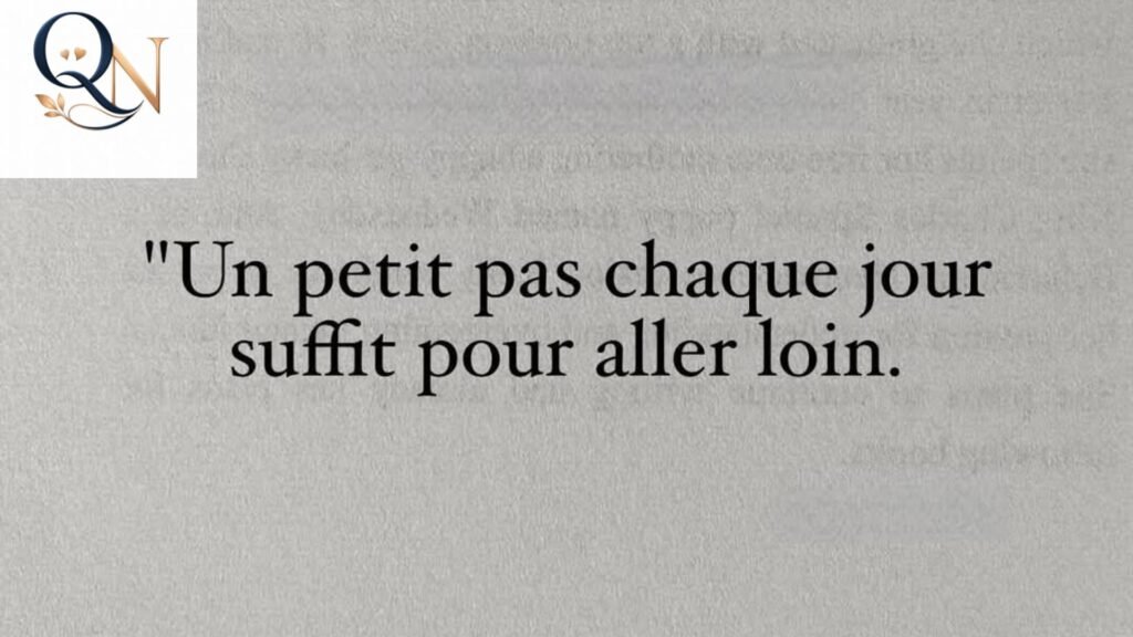 The Little Prince Quotes in French